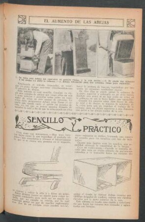 El aumento de las abejas