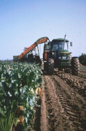 Fotografie: Erntetechnik, Zuckerrübe, Frontköpfer, Rückfahreinrichtung, Parallelverfahren