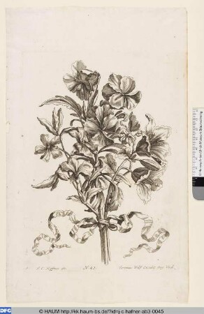 Blume