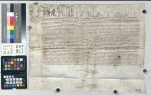 Papst Urban VIII. teilt Adolf Wolff gen. Metternich, Kanonikus zu Minden, mit, daß das Kanonikat des verstorbenen Ernst von Rheden durch die Häretiker verloren sei und überträgt ihm daher ein Kanonikat in Münster. USS