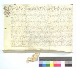 Vor dem Landgericht zu Achern verkauft Christian Knab von Oberkirch dem Kloster Allerhleiligen 1 1/2 Tauwen Matten zu Fernach um 100 Gulden.