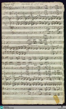 Symphonies - Mus. Hs. 631 : orch; D; BrinzingMWV 7.146