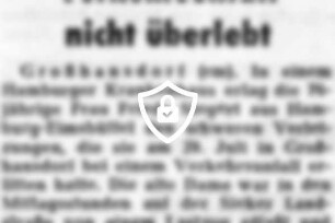 Verkehrsunfall nicht überlebt