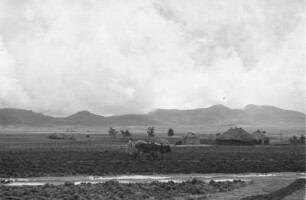 Pflügender Bauer (Äthiopienreise 1937/1938 - 7. Flugreise nach Dembi Dolo und Ausflüge ins Umland)