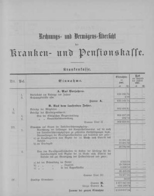 Rechnungs- und Vermögens-Übersicht