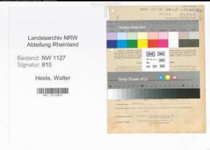 Entnazifizierung Walter Heide , geb. 27.08.1897 (Steuerhelfer)
