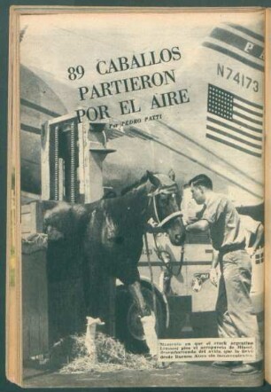 89 caballos partieron por el aire - [Fotografía] : Ochenta y nueve caballos partieron por el aire