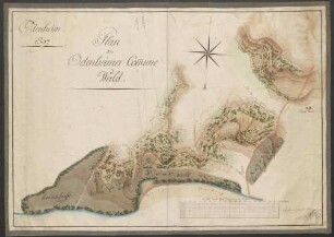 Odenheim. 1807. Plan des Odenheimer Commune-Wald