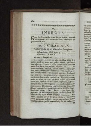 V. INSECTA.