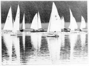 Männer auf Segelbooten auf einem See