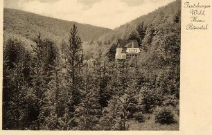 Teutoburger Wald, Haus Bärental, bei Kohlstädt Postkarte E. Paap, Wald-Hotel und Sommerfrische, Bärental im Teutoburger Wald b. Kohlstädt i. Lippe