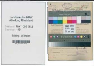 Entnazifizierung Wilhelm Trilling , geb. 13.09.1897 (Techn.Kaufmann)