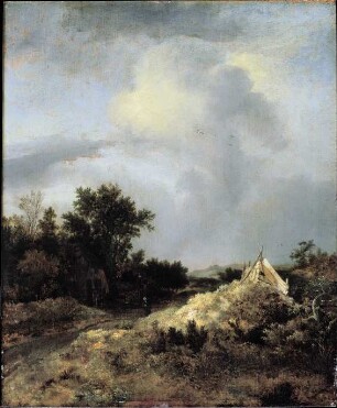 Dünenlandschaft mit einem Plankenzaun