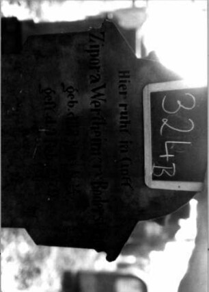 Grabstein 324 (Index: 100111970) Material: Sandstein Zustand: verwittert mit Textverlust Maße HxBxT: 164x62x32 cm Beschreibung: ädikulaartige Stele mit 3/4- Säulen, profilierter Sockel, schräg eingezogener Rundbogenabschluß mit Verdachung, Schriftfeld eingetieft Symbolik: Ranken, Rundbogenfries: Grabstein 324B