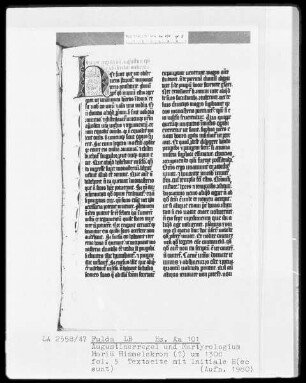 Augustinerregel und Martyrologium — Initiale H (ec sunt), Folio 5 recto