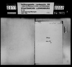 Auswanderungen, Pfitzingen