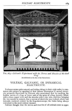 Voltaic, Galvanic, Or Dynamical Electricity.
