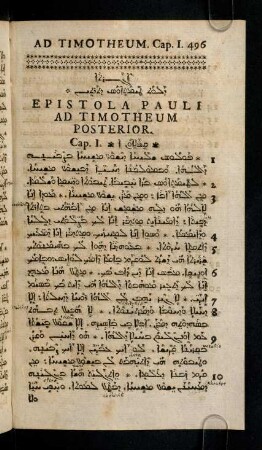 496-501, Epistola Pauli Ad Timotheum Posterior