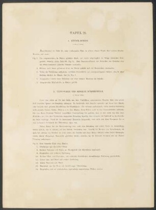 Tafel 29. - 1. Kinder-Mumien. [und] 2. Tättowirte und bemalte Körpertheile.