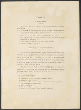 Tafel 29. - 1. Kinder-Mumien. [und] 2. Tättowirte und bemalte Körpertheile.