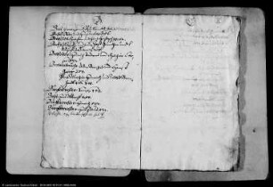 Hochstiftisch Merseburgisches Konzeptbuch der Lehn- und Leibgedingsbriefe