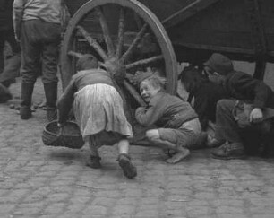 Stralsund. Leiterwagen eines Fuhrwerkes mit Kartoffeln während der Entladung und vier Kinder beim Einsammeln wegrollender Kartoffeln