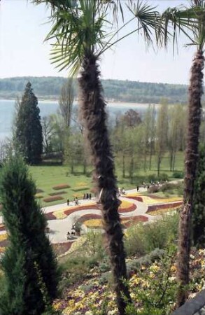 Mainau, Insel Mainau: Palmendurchblick auf Südgarten