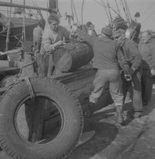 Stralsund. Fischereihafen, Fischer beim Be- oder Entladen eines Bootes