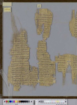 Canticum Canticorum 7,12-8,14