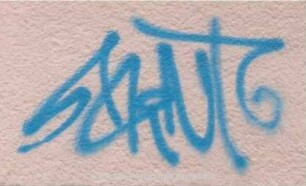 SaiNT