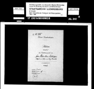 Freie Bahn dem Tüchtigen. Lustspiel von August Hinrichs