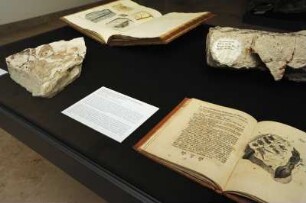 SLUB, Ausstellung "Gespräche mit der Erde. Geowissenschaften in Sachsen" : Ausstellungspräsentation im Buchmuseum. Ausstellungsvitrine mit Kräuterabdrücken