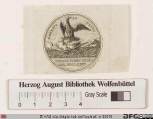 Bildnis (Maximilian Julius) Leopold, Prinz von Braunschweig-Lüneburg