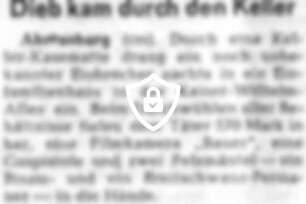 Dieb kam durch [Name maskiert]