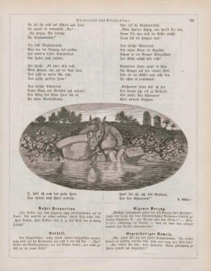 "Rhinoceros und Elephantine"