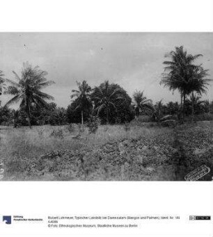 Typischer Landsitz bei Daressalam (Mangos und Palmen)
