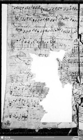 Heinrich Schütz: Historia der fröhlichen und siegreichen Auferstehung unsers einigen Erlösers und Seligmachers Jesu Christi