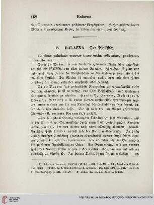 IV: Balaena. Der Wallfisch