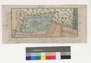 Bronnbachisches Markungsbuch: [Festlegung der Gemarkungsgrenzen: Dörlesberg - Bronnbach]