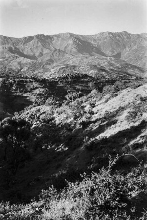 Landschaft : Blick über die bewaldeten Hänge in Richtung des Djurdjuragebirges