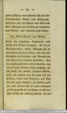 Ihre Beschaffenheit und Gestalt