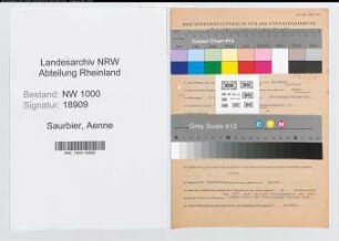 Entnazifizierung Aenne Saurbier, geb. 30.08.1907 (Fuersorgerin)