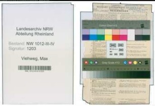 Entnazifizierung Max Viehweg , geb. 24.02.1885 (Lehrer)
