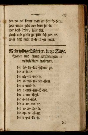 Mehrsylbige Wörter, kurze Sätze, Fragen und kleine Erzählungen in mehrsylbigen Wörtern.