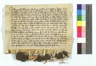 [Text = U / 1365 April 20]. Mit Eid besagt vor Rorich von Sterrenberg, Kämmerer, Schultheiß Peter, und den Richtern Wilkin, Heinrich und Gottfried. "Publicatum 1370 feria secunda post festum Palmarum".