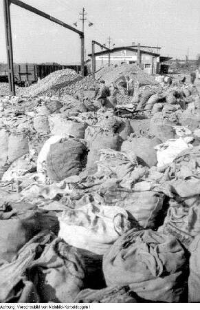 Dresden, Neustädter Hafen. Kommunaler Großhandelsbetrieb, Absacken von Kartoffeln für die Einkellerung, Herbst 1956