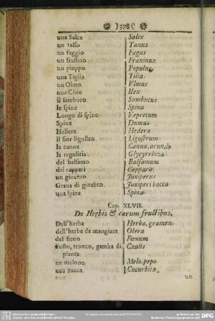 Cap. XLVII. De Herbis & earum fructibus
