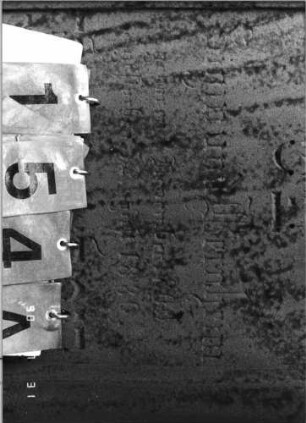 Grabstein 154 (Index: 99790441) Maße HxBxT: 144x71x28 cm Symbolik: geflügelte Sanduhr: Grabstein 154A