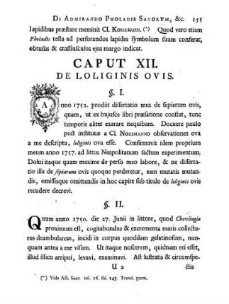 Caput XII. De Loliginis ovis