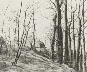 Vorfrühling am Hang (Dresden-Loschwitz, Wachwitzer Kirchweg)